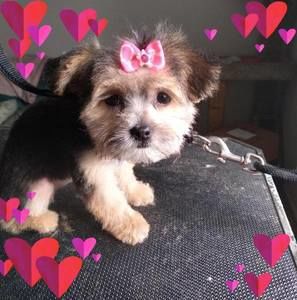 Meet your Posher, Kelly